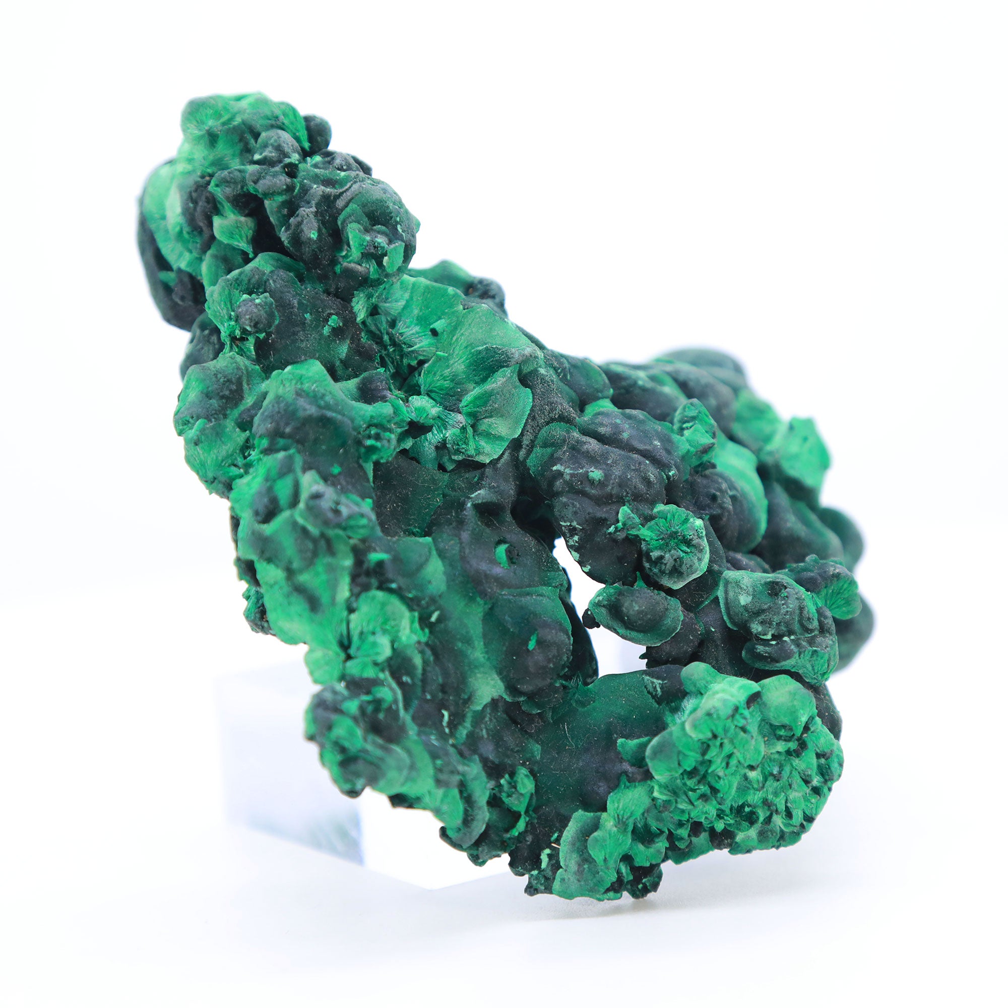 Velvet Botryoidal Malachite Katanga Province, Democratic Republic of Congo