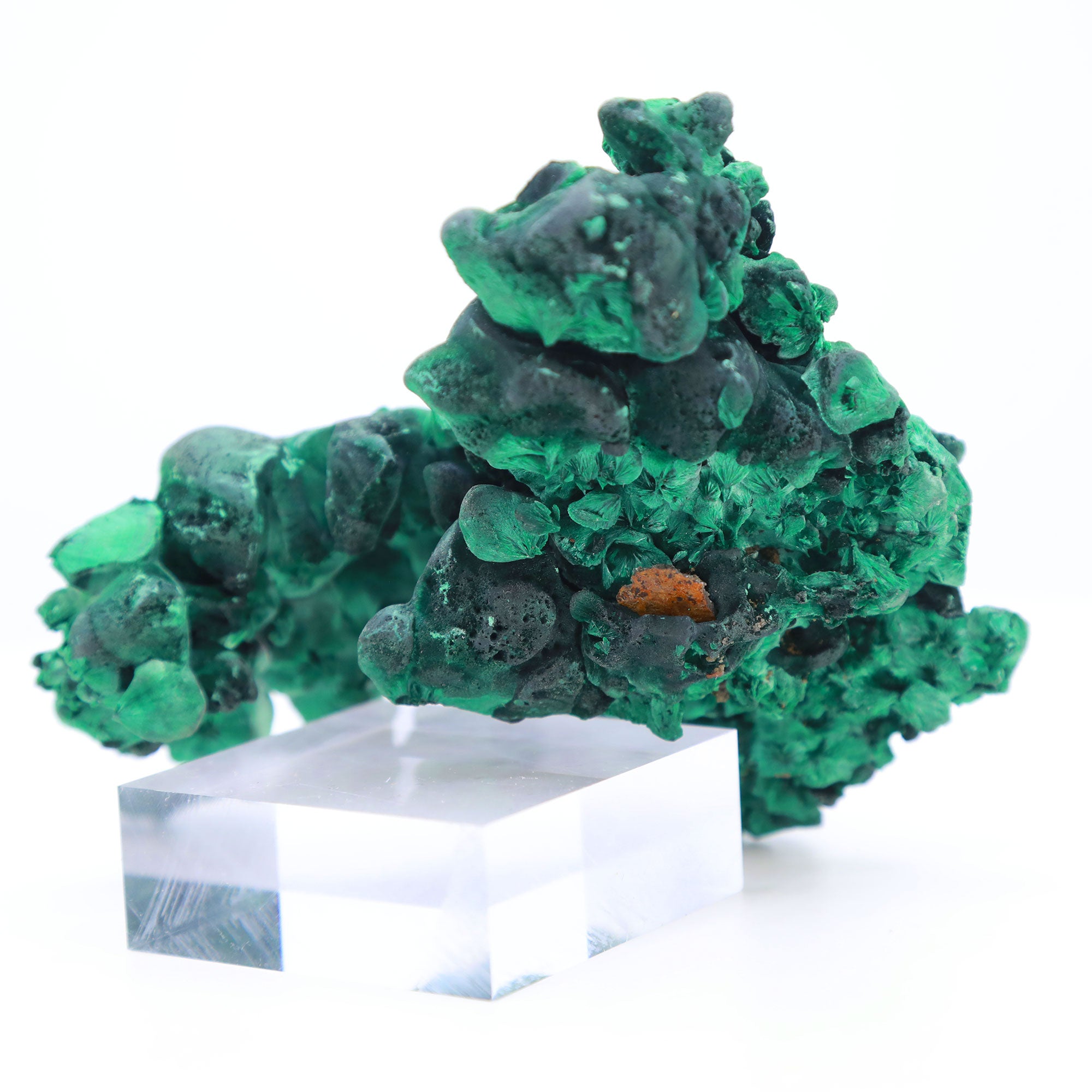 Velvet Botryoidal Malachite Katanga Province, Democratic Republic of Congo