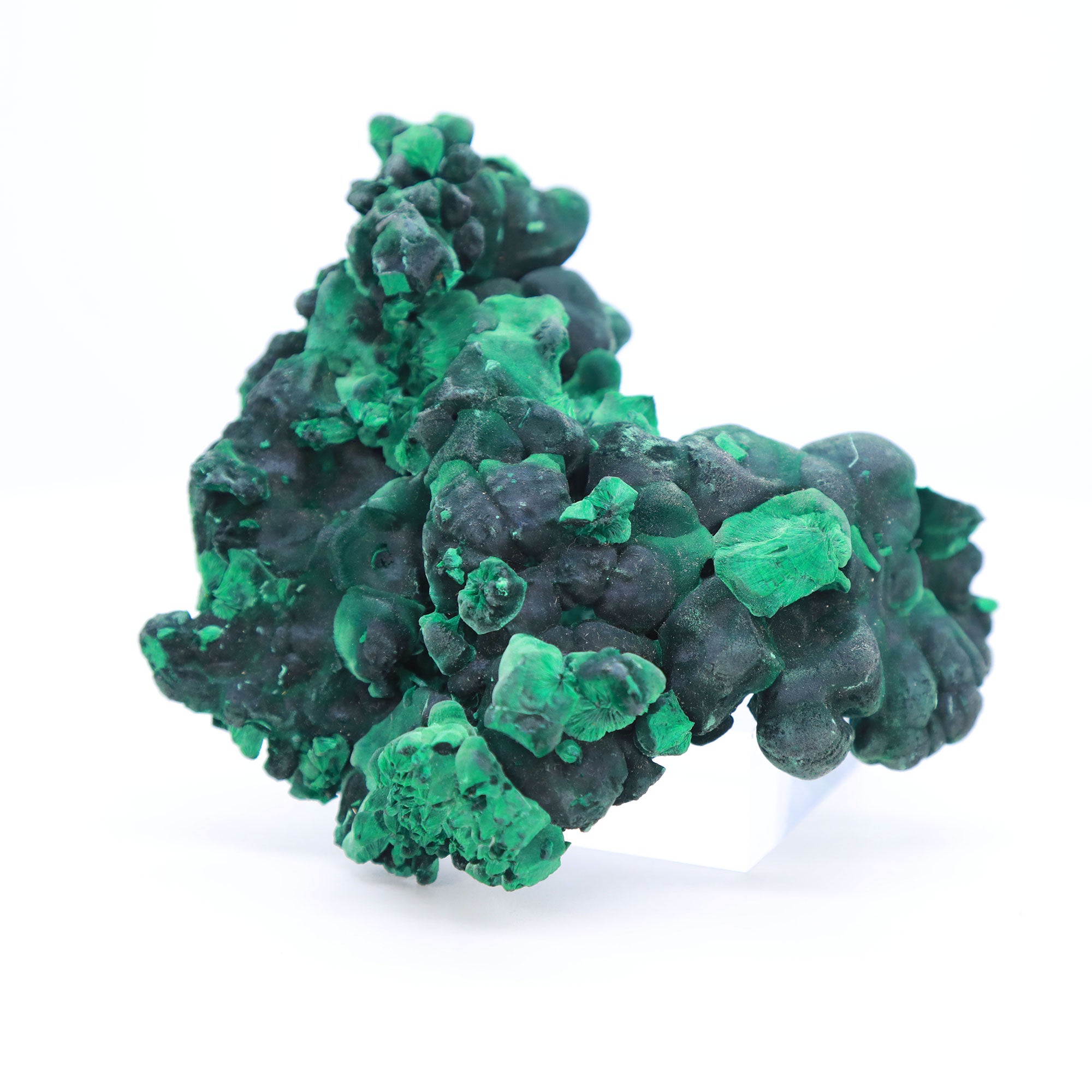Velvet Botryoidal Malachite Katanga Province, Democratic Republic of Congo